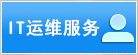 IT運(yùn)維服務(wù)